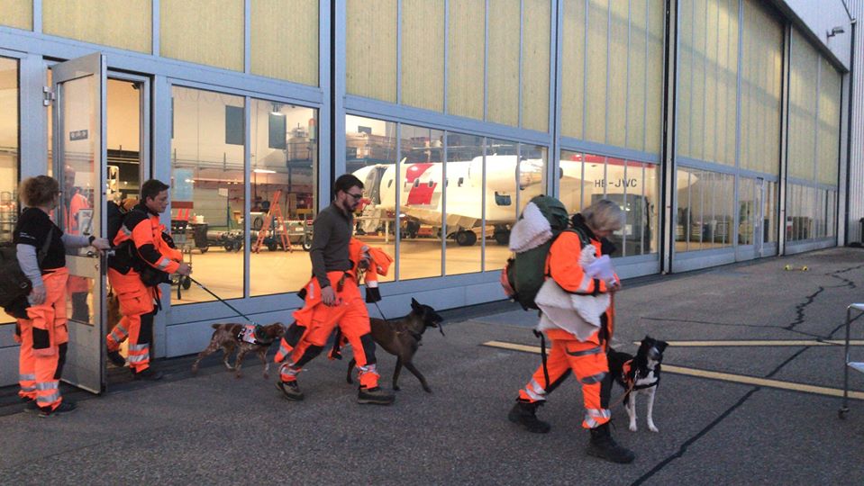 Schweizer Suchhunde auf dem Weg nach Albanien