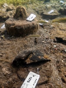 Prähistorische Siedlungsreste Ohridsee Lin 3 Albanien