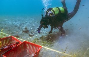 Prähistorische Siedlung im Ohridsee: Unterwasser-Archäologie Taucher